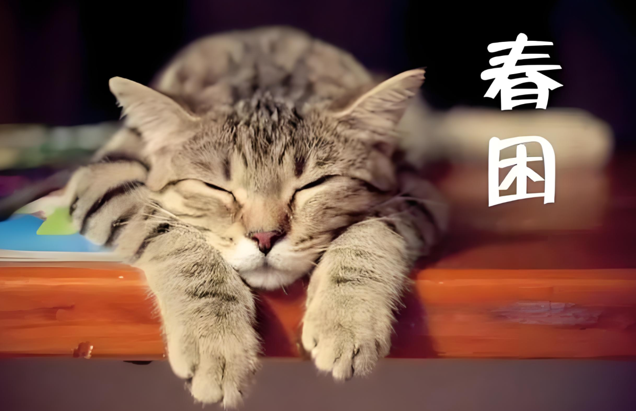 微信图片_20250326152844.png